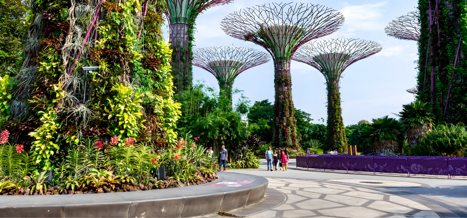 journey expeditions (12)