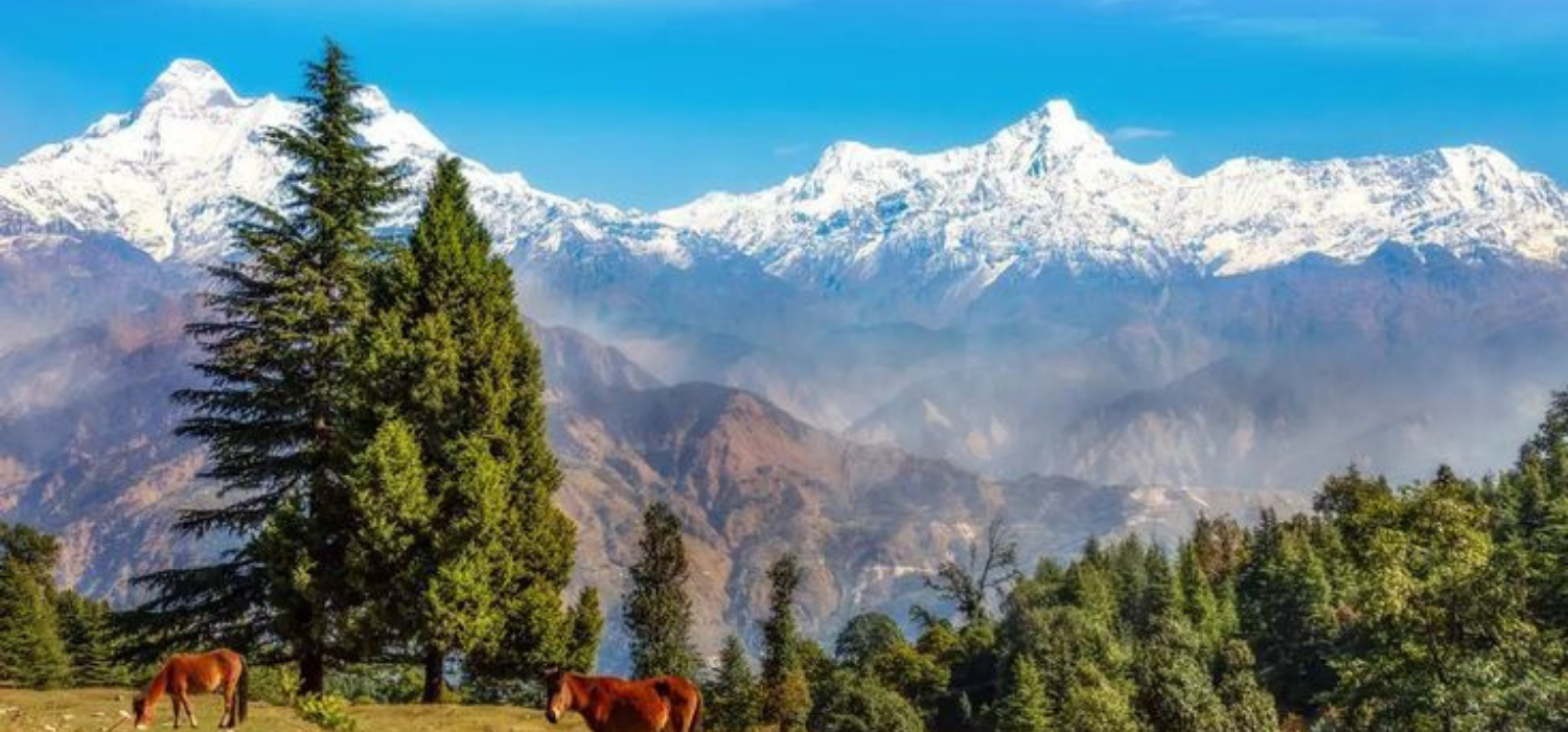 journey expeditions (3)