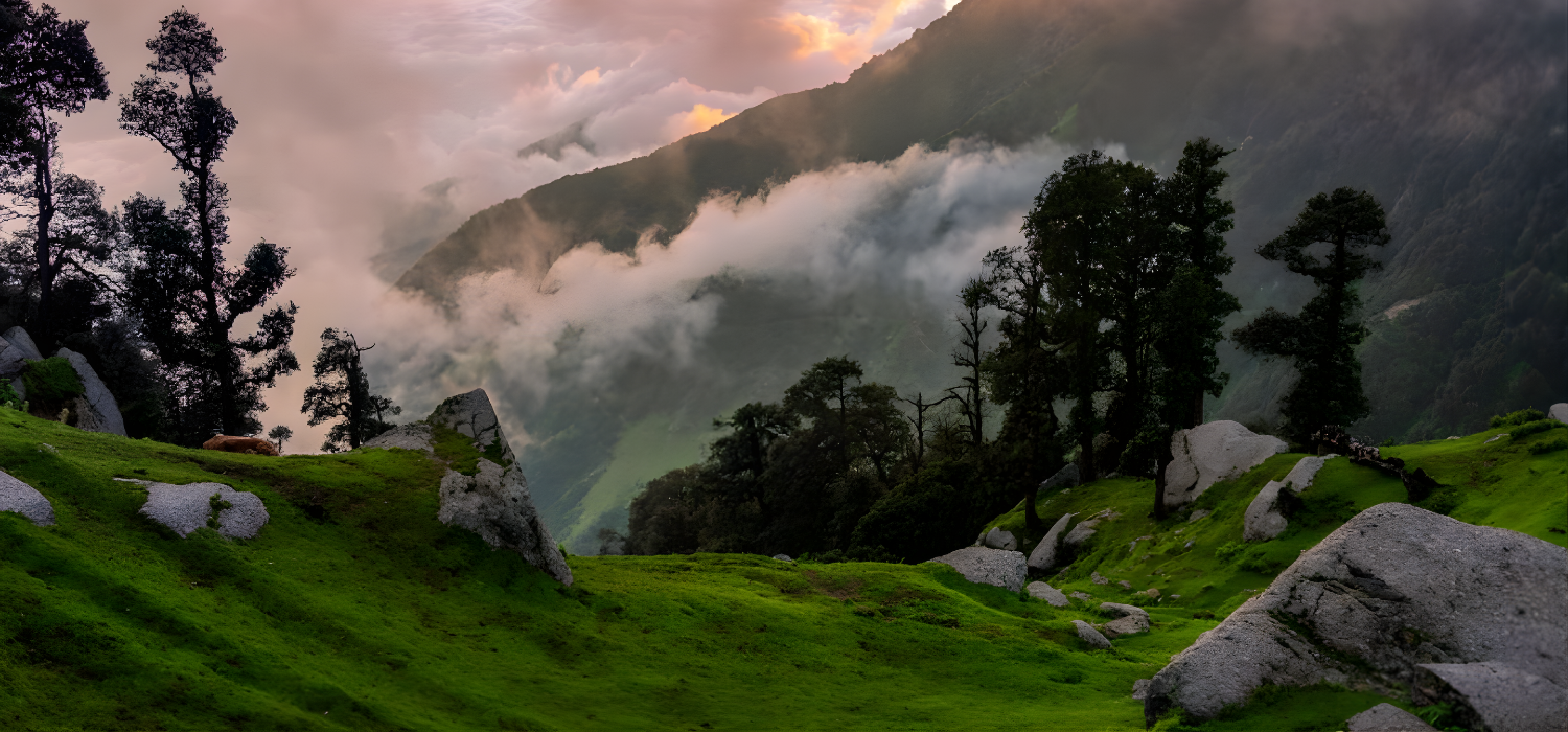 journey expeditions (60)